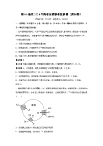 卷01-备战2024年高考生物临考压轴卷(贵州卷)生物试卷(解析版)