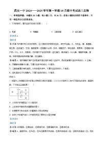 河北省邯郸市武安市第一中学2024-2025学年高二上学期10月期中考试生物试题（Word版附解析）