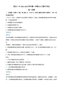 河北省邯郸市武安市第一中学2024-2025学年高一上学期10月期中考试生物试题（Word版附解析）