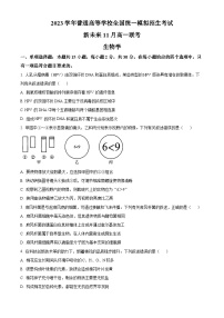 河南省新未来2022-2023学年高一上学期（11月）联考生物试题（Word版附答案）