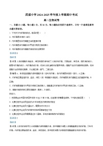 河北省衡水市武强中学2024-2025学年高二上学期期中考试生物试题（Word版附解析）