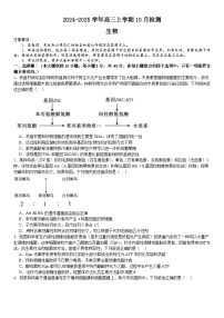 河南省许昌高级中学2024-2025学年高三上学期10月月考生物试题（Word版附解析）