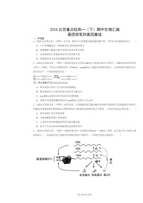 2024北京重点校高一下学期期中真题生物分类汇编：基因突变和基因重组