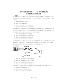 2024北京重点校高一下学期期中真题生物分类汇编：基因的表达与性状关系