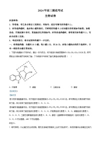 2025保定高三上学期10月期中摸底生物试题含解析