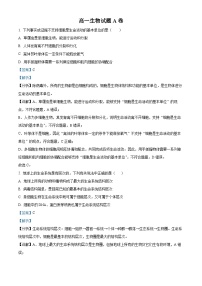 河南省驻马店市经济开发区2024-2025学年高一上学期10月月考生物试卷（Word版附解析）