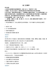 河南省许平汝名校2024-2025学年高三上学期10月期中生物试卷（Word版附解析）