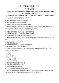 甘肃省嘉峪关市嘉峪关市第一中学2024-2025学年高二上学期11月期中生物试题(无答案)