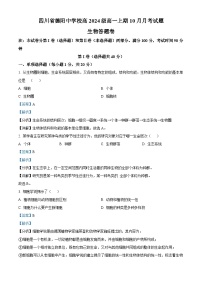 四川省德阳中学2024-2025学年高一上学期10月月考生物试卷（Word版附解析）