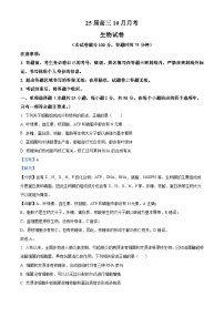 四川省眉山市仁寿县第一中学南校区2024-2025学年高三上学期10月月考生物试卷（Word版附解析）