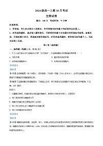 四川省眉山市仁寿县第一中学南校区2024-2025学年高一上学期10月月考生物试卷（Word版附解析）