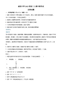 四川省内江市威远中学2024-2025学年高三上学期期中考试生物试卷（Word版附解析）