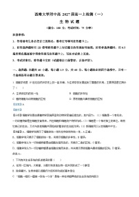 重庆市西南大学附属中学2024-2025学年高一上学期10月月考生物试卷（Word版附解析）