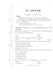 新疆兵地联盟2024-2025学年高一上学期期中联考生物试卷