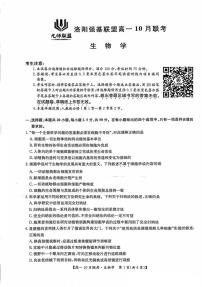 河南省洛阳强基联盟2024-2025学年高一上学期10月联考生物试卷（PDF版附解析）