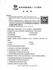 河南省洛阳强基联盟2024-2025学年高二上学期10月联考生物试卷（PDF版附解析）