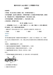 湖北省随州市高中2024-2025学年高二上学期期中考试生物学试卷（Word版附解析）