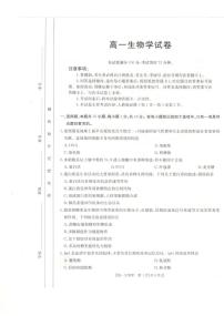 新疆兵地联盟2024-2025学年高一上学期期中联考生物试卷