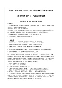 山东省泰安市肥城市慈明学校2024-2025学年高二上学期期中检测生物试卷