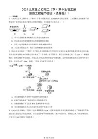 2024北京重点校高二（下）期中生物汇编：细胞工程章节综合（选择题）1试卷