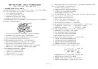 四川省成都市树德中学2024-2025学年高二上学期期中生物试卷（PDF版附答案）