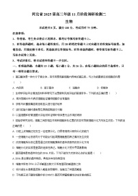 河北省部分学校2024-2025学年高三上学期11月阶段调研检测二生物试卷（Word版附答案）