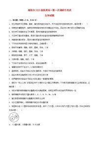 河南省南阳市2023_2024学年高一生物上学期第一次月考试题含解析