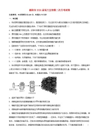 湖南省衡阳市2023_2024学年高三生物上学期10月月考试题含解析