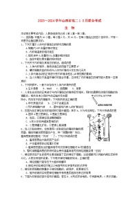 山西省2023_2024学年高二生物上学期10月联合考试