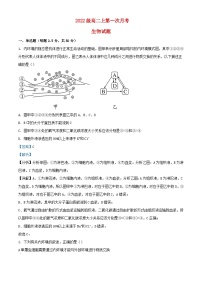 四川省内江市2023_2024学年高二生物上学期第一次月考试题含解析