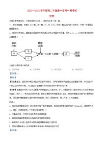 安徽省阜阳市2023_2024学年高二生物上学期10月月考试题含解析