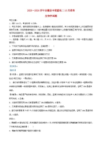 安徽省县中联盟2023_2024学年高二生物上学期10月联考试题含解析