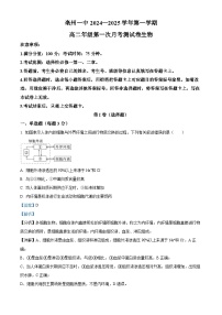 安徽省亳州市第一中学2024-2025学年高二上学期10月月考生物试卷（Word版附解析）