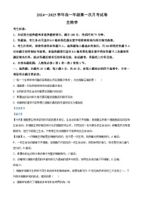 安徽省亳州市涡阳县2024-2025学年高一上学期10月月考生物试卷（Word版附解析）