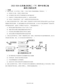 2022-2024北京重点校高二（下）期中真题生物汇编：基因工程的应用