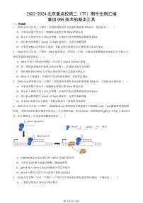 2022-2024北京重点校高二（下）期中真题生物汇编：重组DNA技术的基本工具