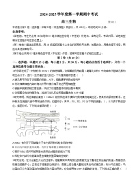 山东省青岛市黄岛区2024-2025学年高三上学期11月期中生物试题(无答案)