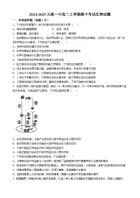 天津市滨海新区大港第一中学2024-2025学年高二上学期10月期中生物试题