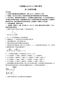 河北省保定市六校联盟2024-2025学年高二上学期11月期中生物试题(无答案)