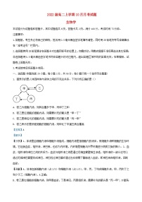 四川省绵阳市2023_2024学年高二生物上学期10月月考试题含解析