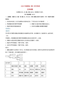 四川省宜宾市叙州区2023_2024学年高二生物上学期10月月考试题含解析