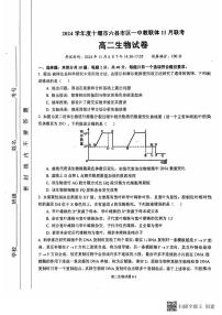 湖北省十堰市六县市区一中教联体2024-2025学年高二上学期11月联考生物试卷（PDF版附答案）