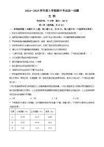 辽宁省名校联盟2024-2025学年高一上学期11月期中考试生物试卷（Word版附答案）