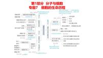 高考生物二轮复习讲解课件：专题7  细胞的生命历程