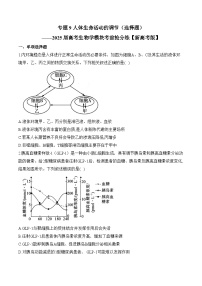 专题9 人体生命活动的调节（选择题）-2025年高考生物二轮复习模块分练【新高考版】（含解析）