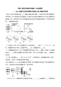 专题5 遗传的细胞学基础（非选择题）-2025年高考生物二轮复习模块分练【新高考版】（含解析）