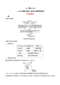 专题4 酶与ATP（练习）--2025年高考生物二轮复习易错重难提升专题（含解析 ）