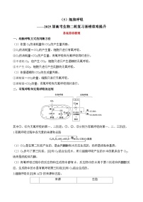 专题5 细胞呼吸（练习）--2025年高考生物二轮复习易错重难提升专题（含解析 ）