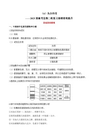 专题6 光合作用（练习）--2025年高考生物二轮复习易错重难提升专题（含解析 ）