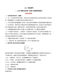 专题16 神经调节（练习）--2025年高考生物二轮复习易错重难提升学案专题（含解析 ）